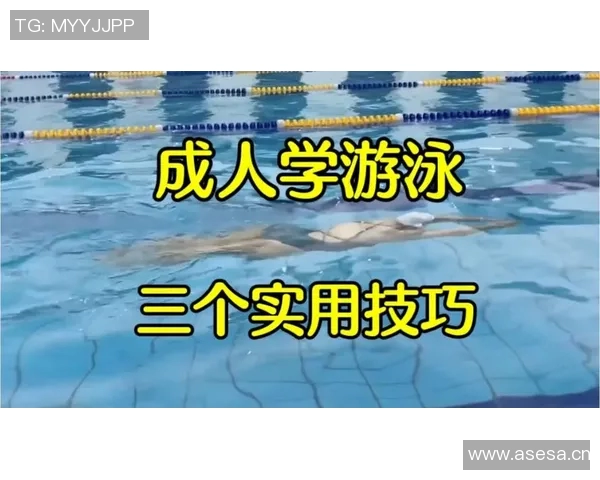 游泳动作解析与技巧提升:从蛙泳到蝶泳的全面技巧与训练方法 游泳动作解析与技巧提升:从蛙泳到蝶泳的全面技巧与训练方法